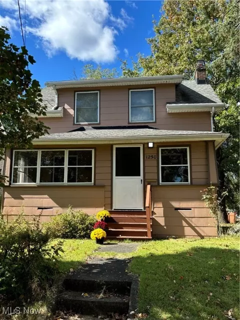 1250 Lily St, Akron, OH 44301