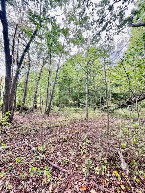 Other - 2687 Griggs Rd, Jefferson, OH 44047 photo 17 of 20