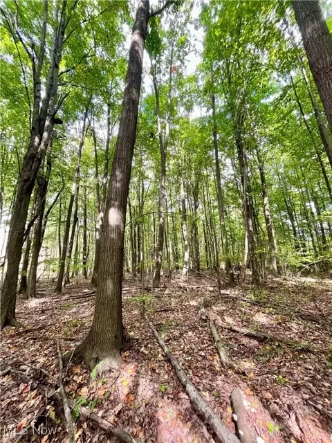 Other - 2687 Griggs Rd, Jefferson, OH 44047 photo 16 of 20