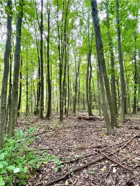 Other - 2687 Griggs Rd, Jefferson, OH 44047 photo 19 of 20