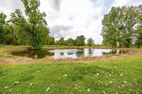 42381 Webster Rd, Lagrange, OH 44050 photo 43