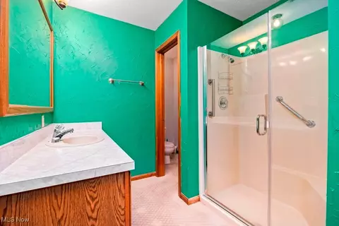 42381 Webster Rd, Lagrange, OH 44050 photo 23