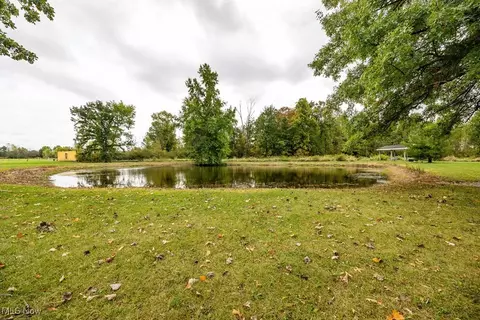 42381 Webster Rd, Lagrange, OH 44050 photo 42