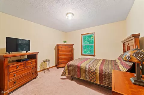 5250 Struthers Rd, Struthers, OH 44471 photo 24