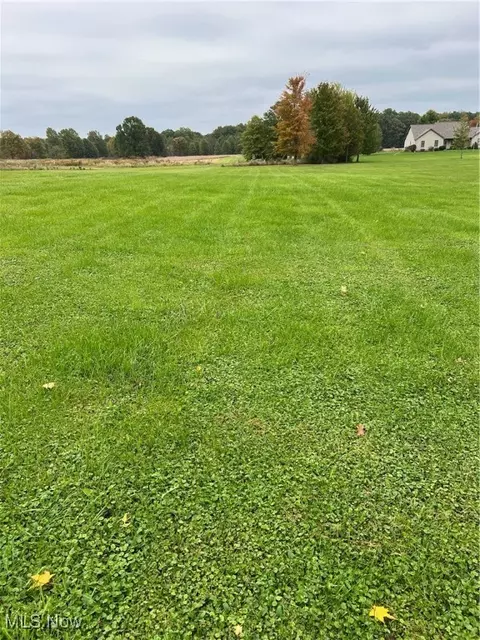 Alliance Road, Rootstown, OH 44272 photo 7