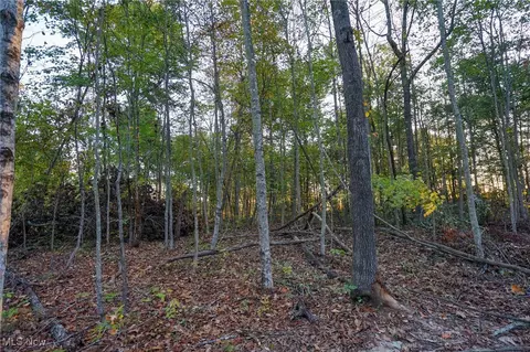 Creekview Dr, Gallipolis, OH 45631 photo 15