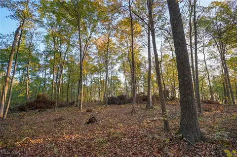 Creekview Dr, Gallipolis, OH 45631 photo 28