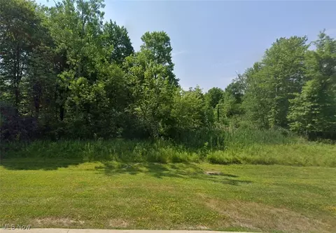 4546 Maggie Marie Blvd, Medina, OH 44256