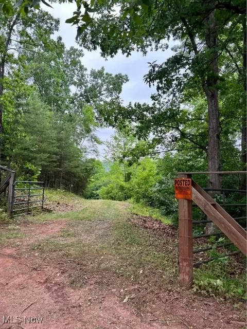 Butchers Mill Road, Washington, WV 26181