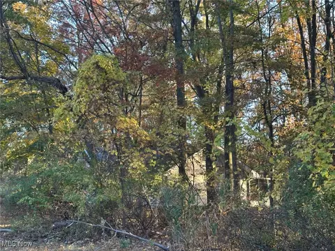 2424 Harbor Ave, Ashtabula, OH 44004 photo 37