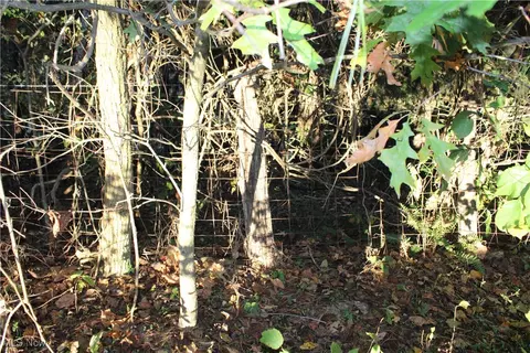 Wright Road, Barnesville, OH 43713 photo 15