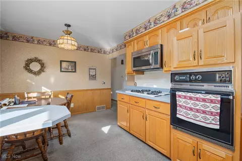41887 Earlene Ct, Elyria, OH 44035 photo 10