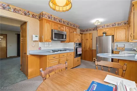 41887 Earlene Ct, Elyria, OH 44035 photo 8