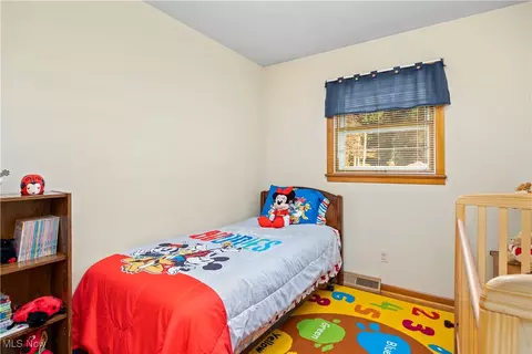 41887 Earlene Ct, Elyria, OH 44035 photo 14
