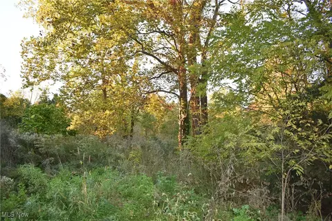 Old Weymouth Road, Medina, OH 44256