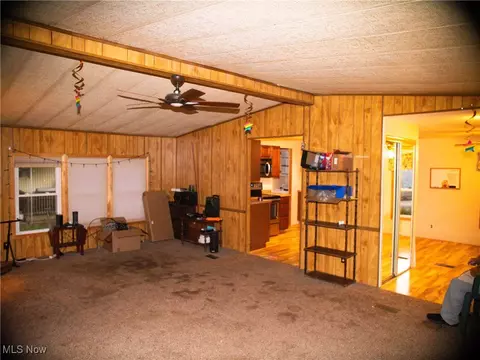 332 Max Rd, Lodi, OH 44254 photo 20