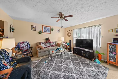 9065 Spring Dr, Windham, OH 44288 photo 21