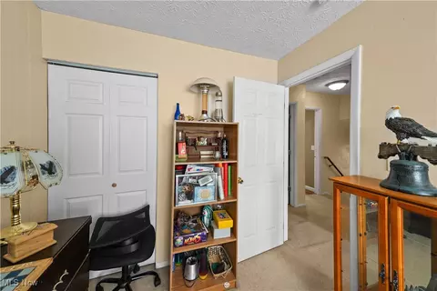 9065 Spring Dr, Windham, OH 44288 photo 29