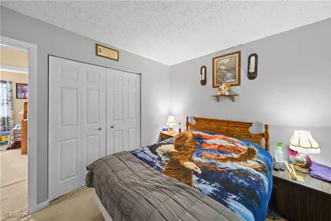 9065 Spring Dr, Windham, OH 44288 photo 25