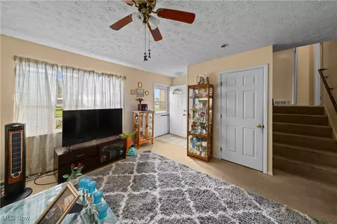 9065 Spring Dr, Windham, OH 44288 photo 22