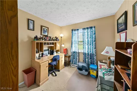 9065 Spring Dr, Windham, OH 44288 photo 27