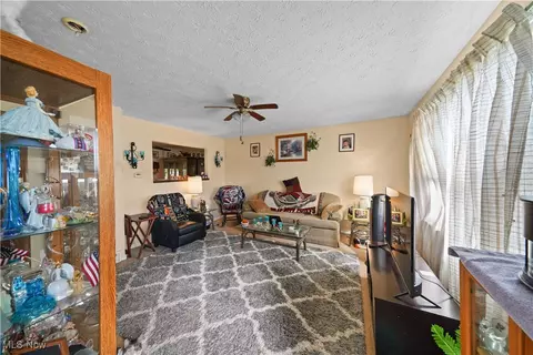 9065 Spring Dr, Windham, OH 44288 photo 20