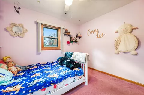 4807 Simon Rd, Boardman, OH 44512 photo 22