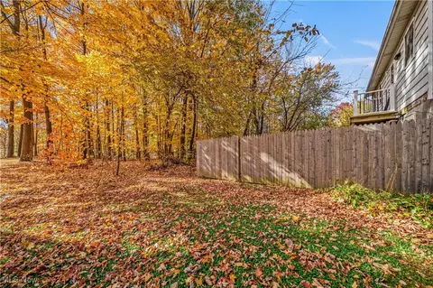 Exterior - 38 E Pine St, Jefferson, OH 44047 photo 11 of 12