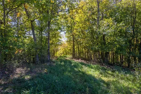 3245 Dixon Ridge Rd, Lowell, OH 45744