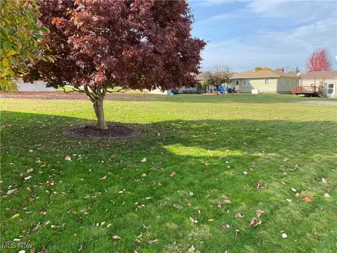 Exterior - 421 W Omar St, Struthers, OH 44471 photo 5 of 5