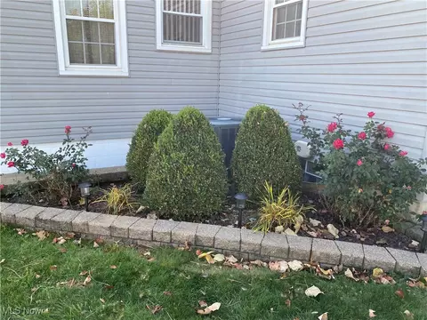 Exterior - 421 W Omar St, Struthers, OH 44471 photo 4 of 5