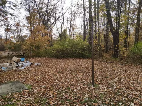 4829 Benefit Ave, Ashtabula, OH 44004 photo 22