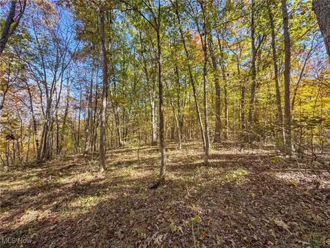 0 Dixon Run Rd, Jackson, OH 45685 photo 19