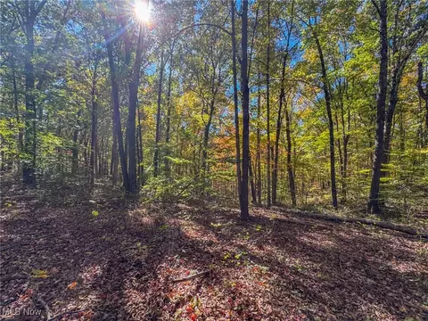 0 Dixon Run Rd, Jackson, OH 45685 photo 31