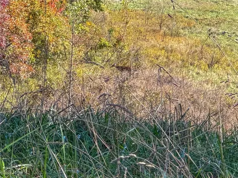 0 Dixon Run Rd, Jackson, OH 45685 photo 38