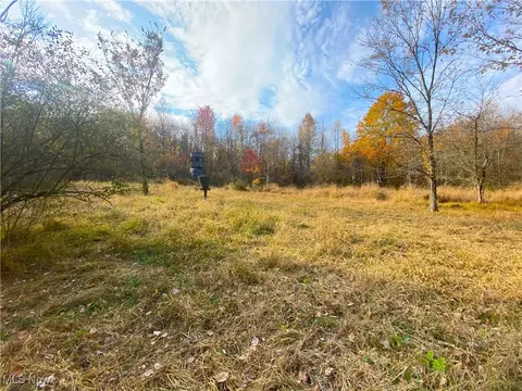 Sleepy Elm Road Sw, Newcomerstown, OH 43832