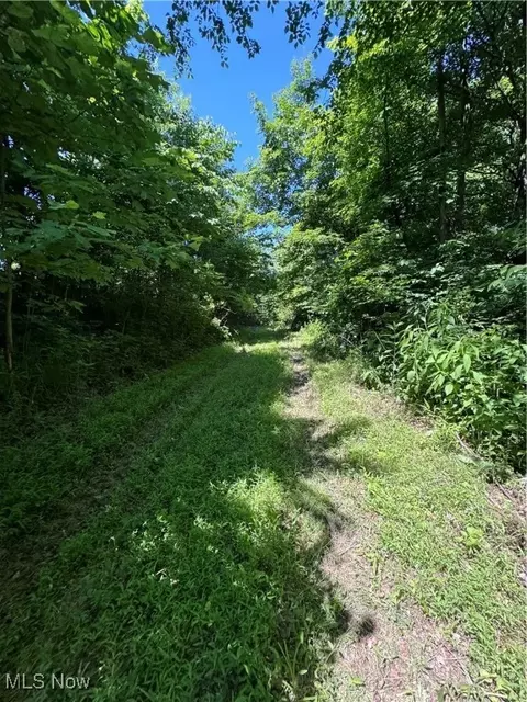 s state route 555, Chesterhill, OH 43728