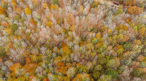 0 Chestnut Run Rd, Elizabeth, WV 26143