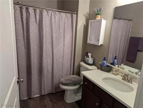 116 W Spring Dr, Elyria, OH 44035 photo 20