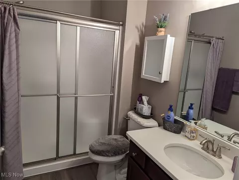 116 W Spring Dr, Elyria, OH 44035 photo 19