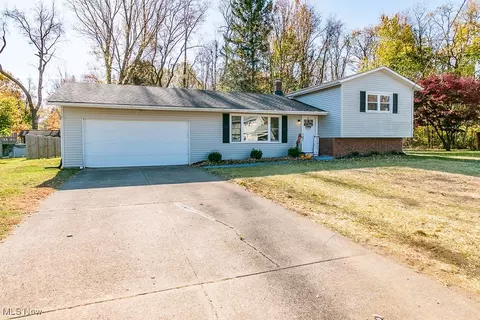 60 Dunbar Ct, Painesville, OH 44077