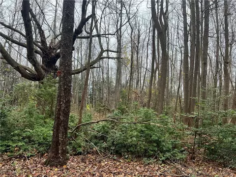 Chestnut Street, Geneva, OH 44041