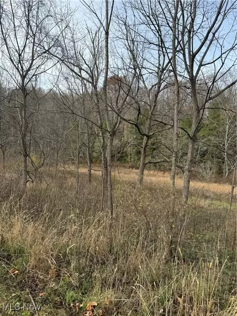 Other - 5155 Center Rd, Philo, OH 43771 photo 12 of 15