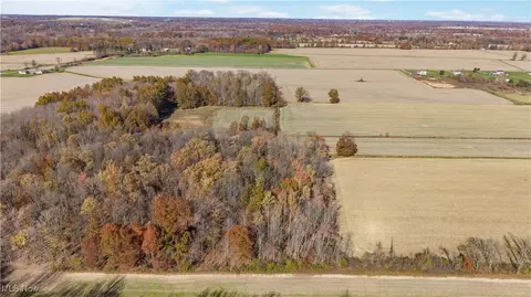 Whitehead Road, Lagrange, OH 44050 photo 7