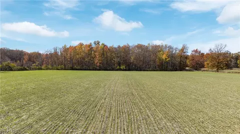 Whitehead Road, Lagrange, OH 44050 photo 6