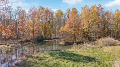 Whitehead Road, Lagrange, OH 44050 photo 12