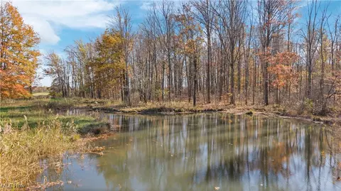 Whitehead Road, Lagrange, OH 44050 photo 13