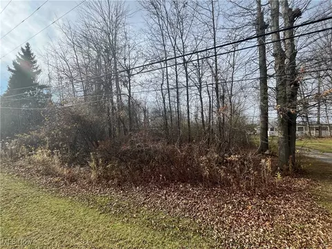 N Myers Road, Geneva, OH 44041