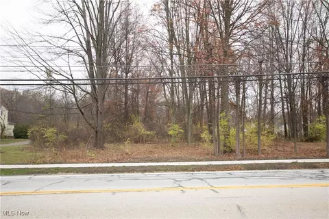Schady Road, Olmsted Twp, OH 44138