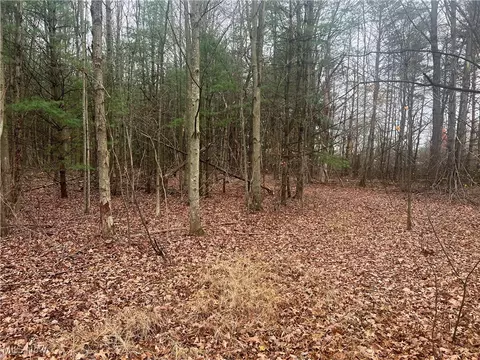 Stanley Road, Windham, OH 44231 photo 7